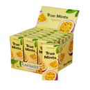 "True Mints" natūralios becukrės ksilitolio pastilės, 20 vnt. x 18 pakuočių