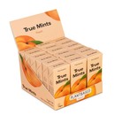 "True Mints" natūralios becukrės ksilitolio pastilės, 20 vnt. x 18 pakuočių